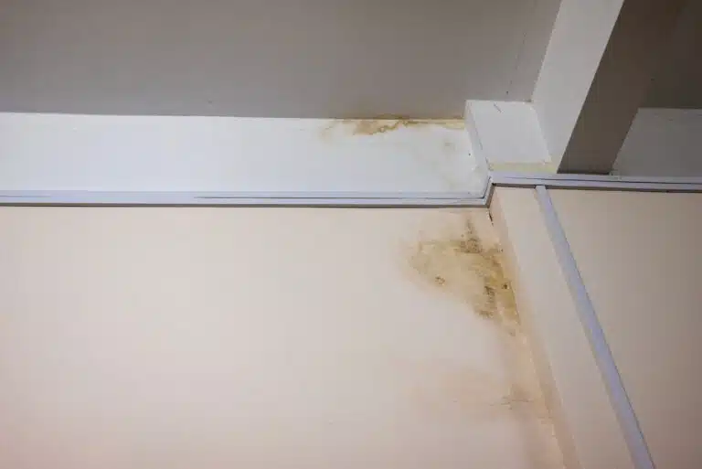 Infiltration d’eau de pluie, causant des dommages, de la peinture écaillée et de la moisissure.